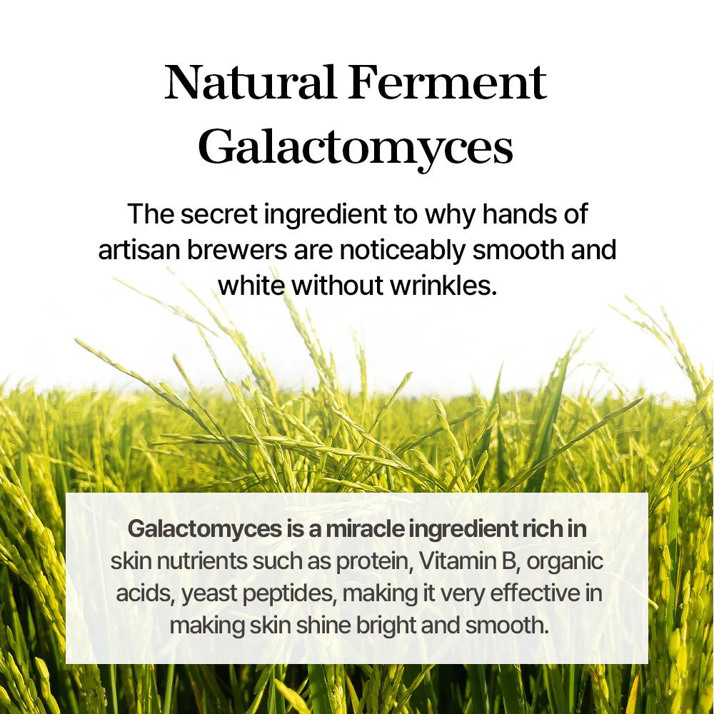 Mixsoon Galactomyces Ferment Essence 100ml