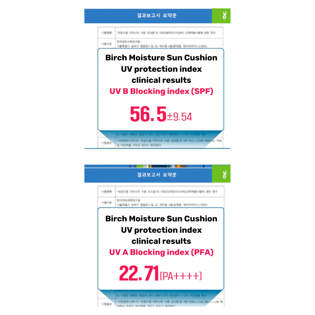 Round Lab - Birch Moisturising Cushion Sunscreen SPF50+