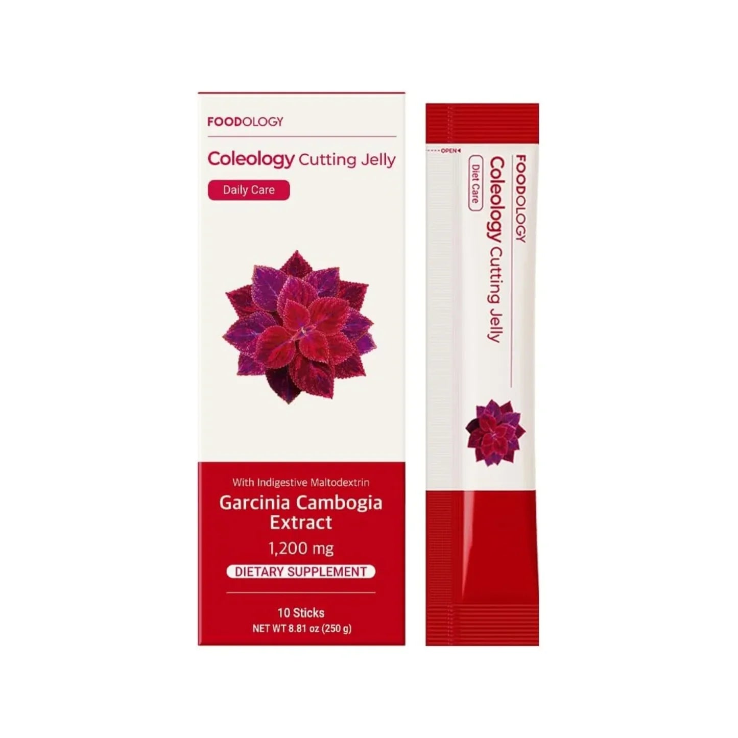 FOODOLOGY Coleology Cutting Jelly 10 sticks