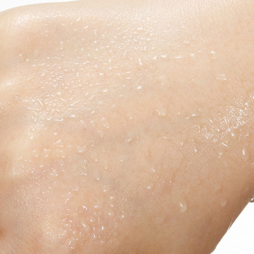 Nature Republic - Argan 20 Essential Toner 170ml