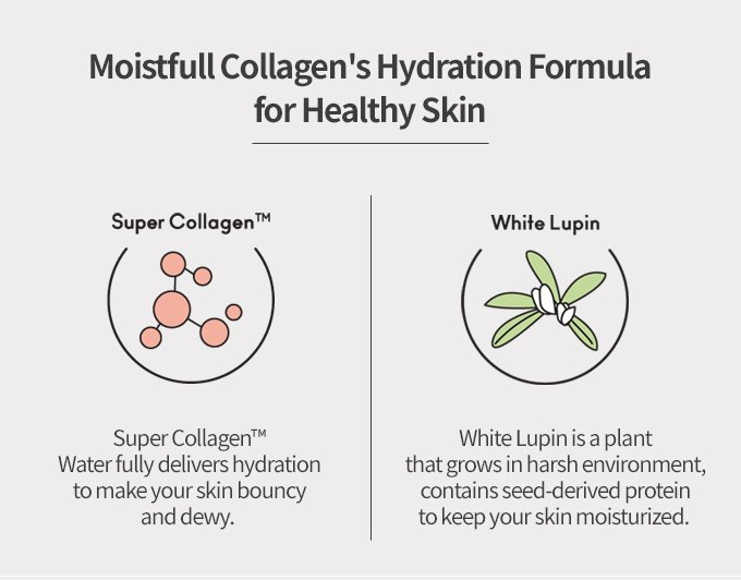 ETUDE HOUSE - Moistfull Collagen Deep Cream 75mL