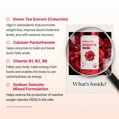 FOODOLOGY - Coleology Cut