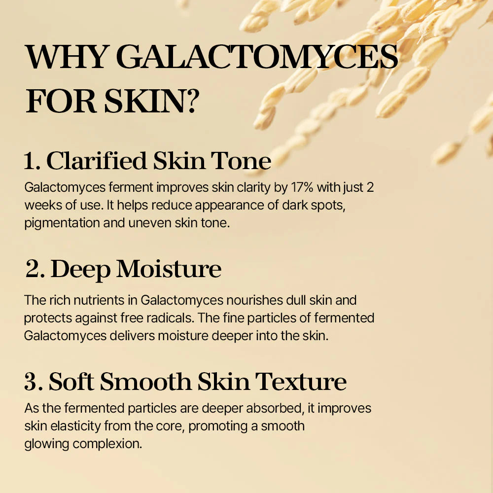 Mixsoon Galactomyces Ferment Essence 100ml