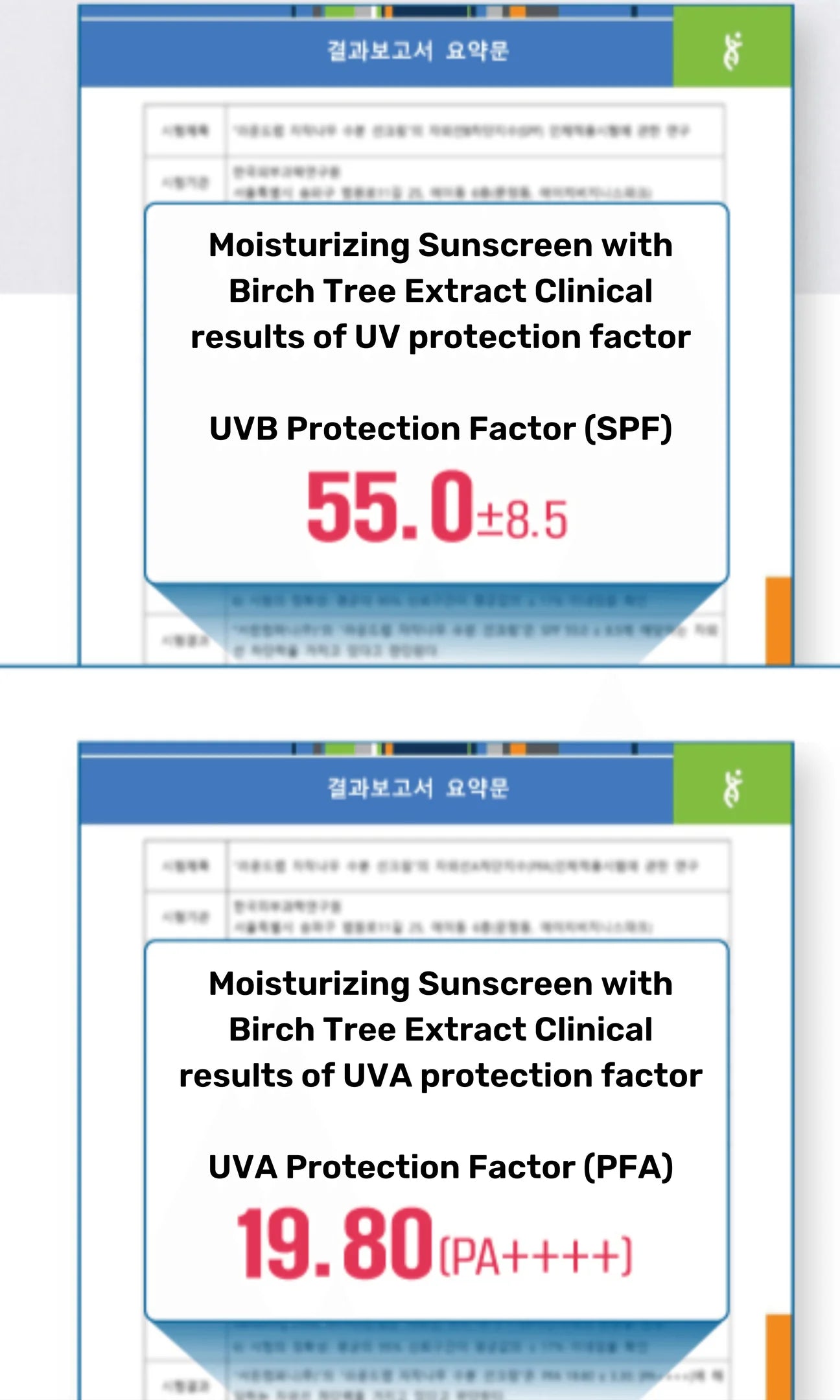 Round Lab - Birch Juice Moisturising Sunscreen