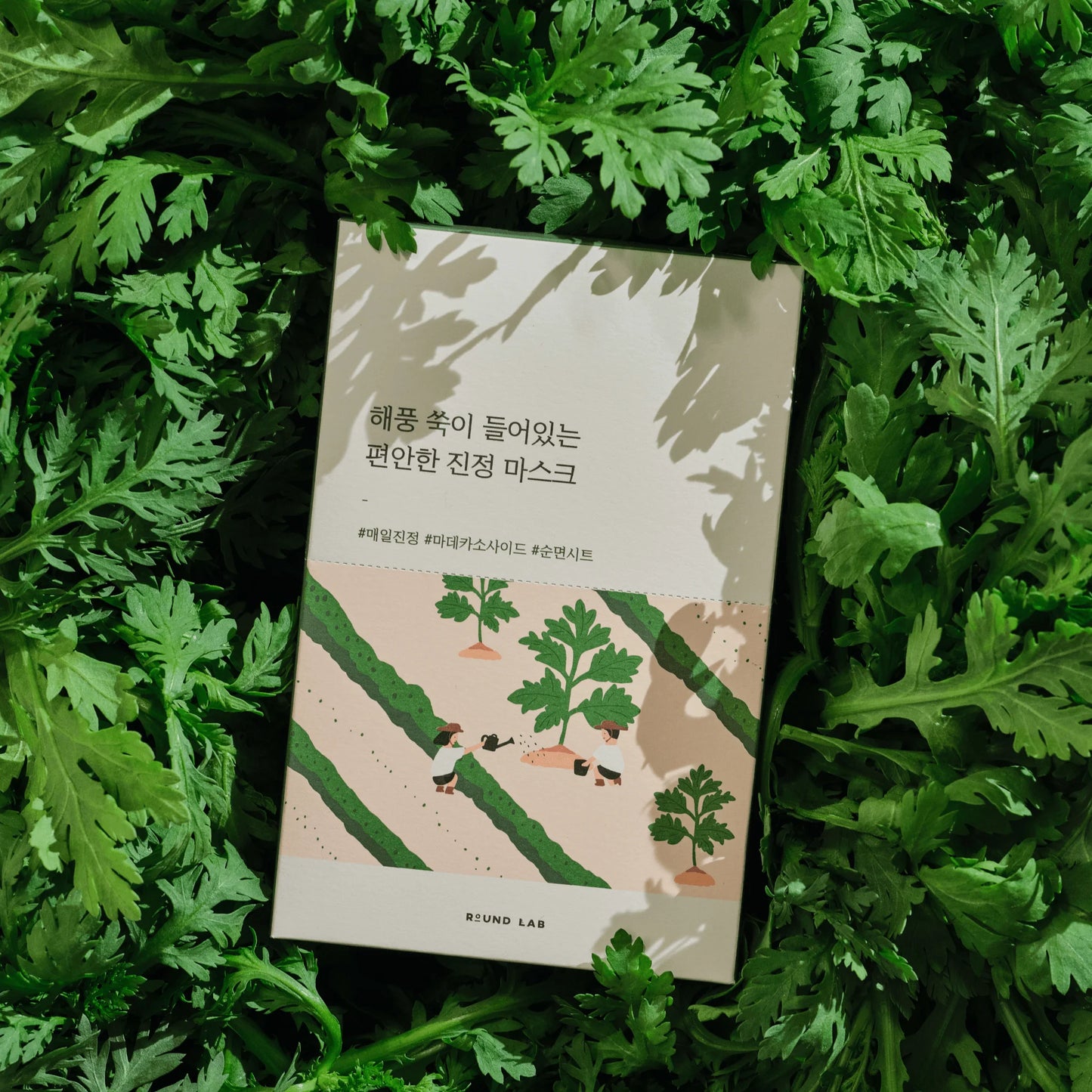 Round Lab - Mugwort Calming Sheet Mask (1pc)