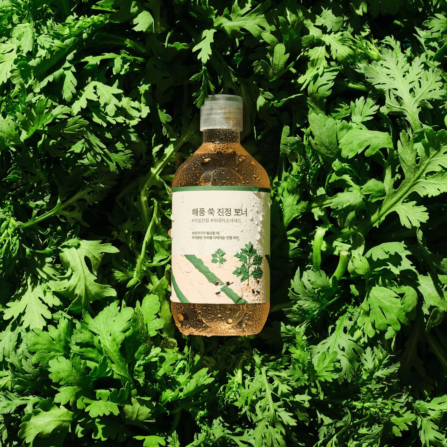 Round Lab - Mugwort Calming Toner 300mL