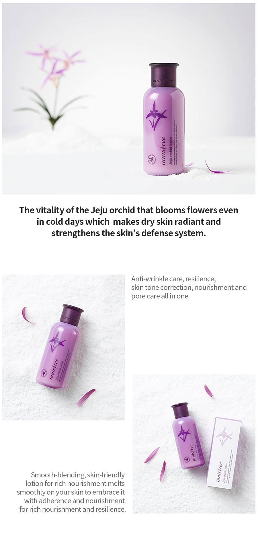 innisfree - Jeju Orchid Lotion 160mL